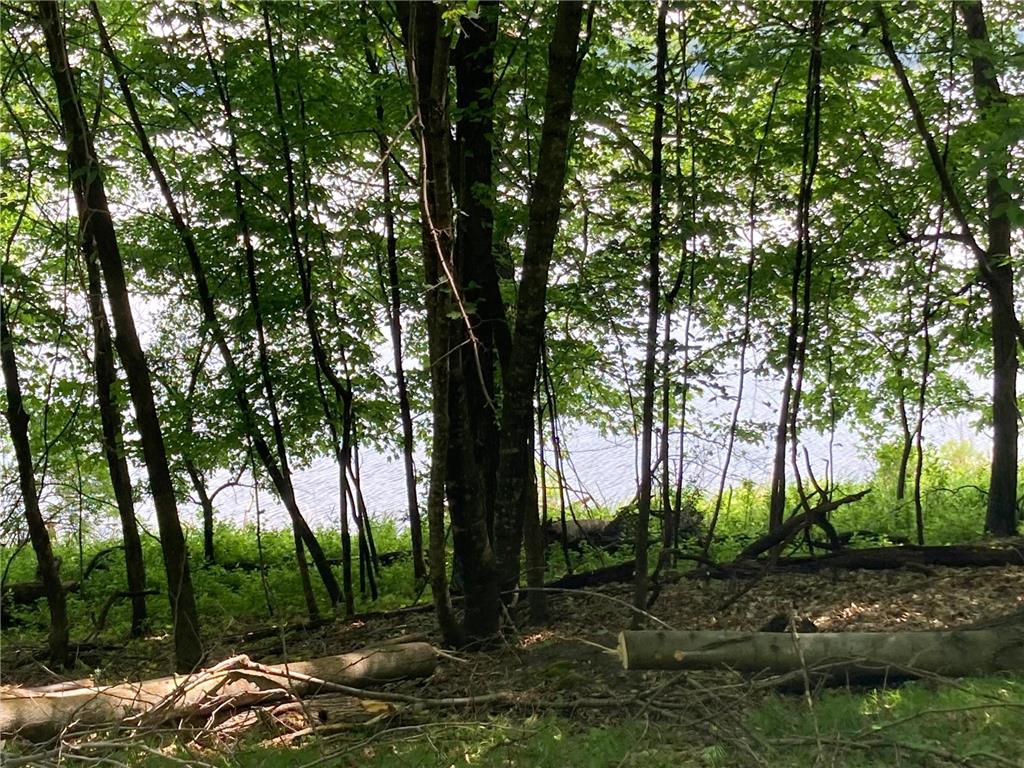 000 200th Street Lake Park Twp MN 56554 - Boyer 6732143 image12