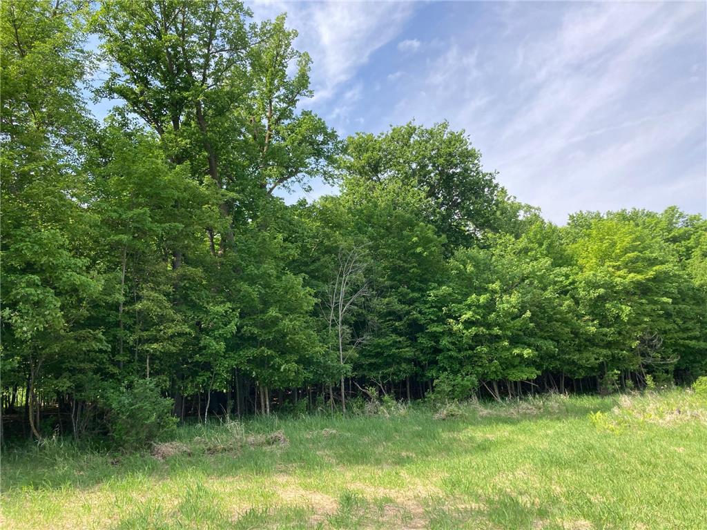 000 200th Street Lake Park Twp MN 56554 - Boyer 6732143 image13