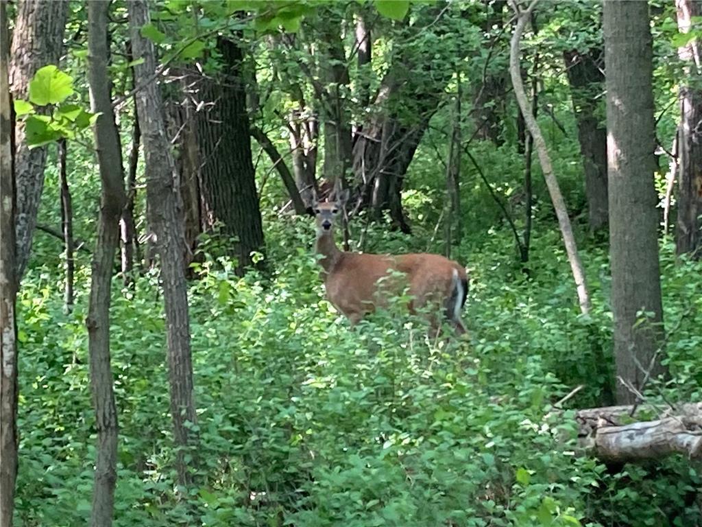 000 200th Street Lake Park Twp MN 56554 - Boyer 6732143 image6