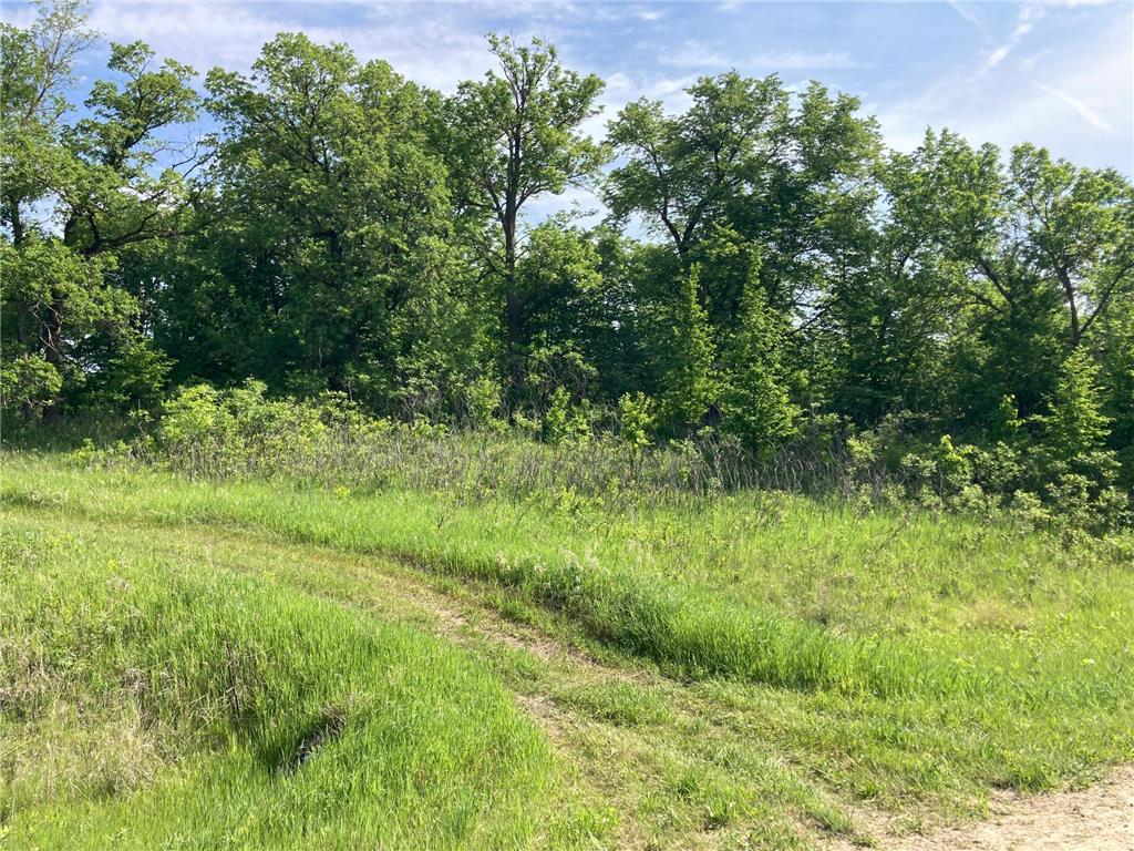 000 200th Street Lake Park Twp MN 56554 - Boyer 6732143 image7