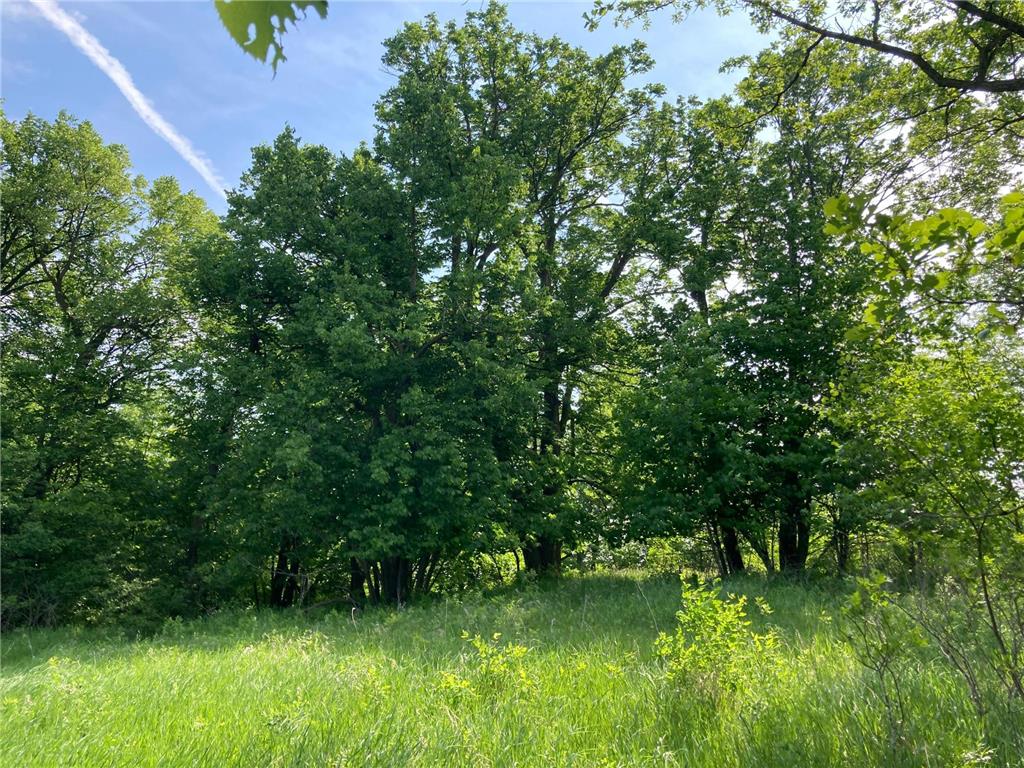 000 200th Street Lake Park Twp MN 56554 - Boyer 6732143 image8