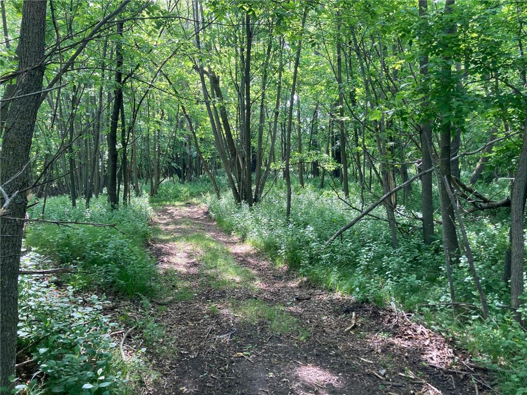 000 200th Street Lake Park Twp MN 56554 - Boyer 6732143 image9