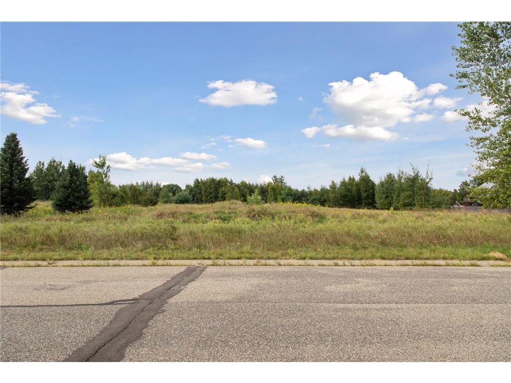 000 236th Lane NE East Bethel MN 55005 6781765 image10