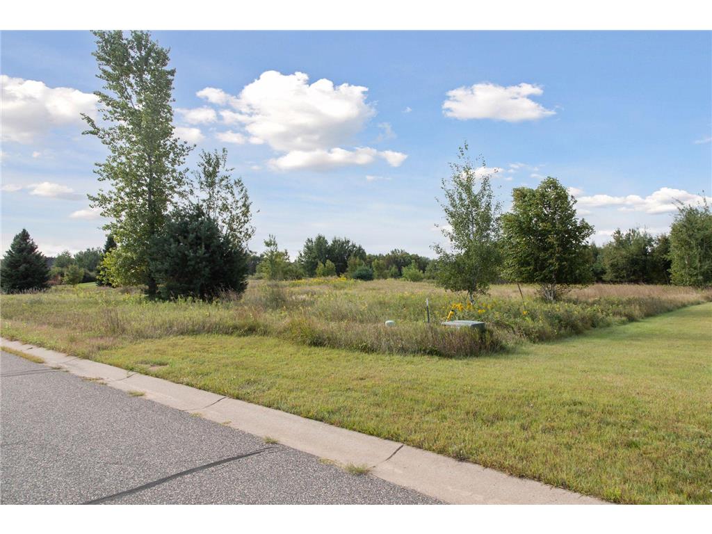 000 236th Lane NE East Bethel MN 55005 6781765 image11