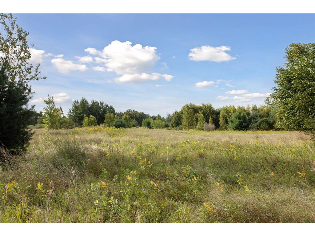 000 236th Lane NE East Bethel MN 55005 6781765 image12