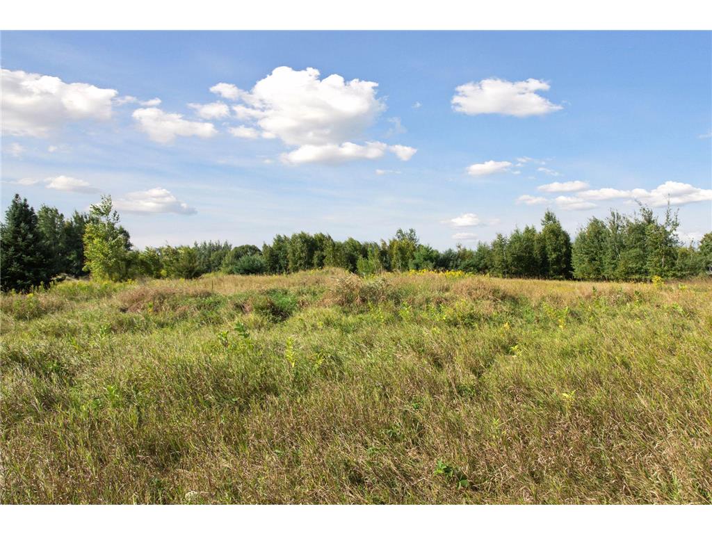 000 236th Lane NE East Bethel MN 55005 6781765 image14