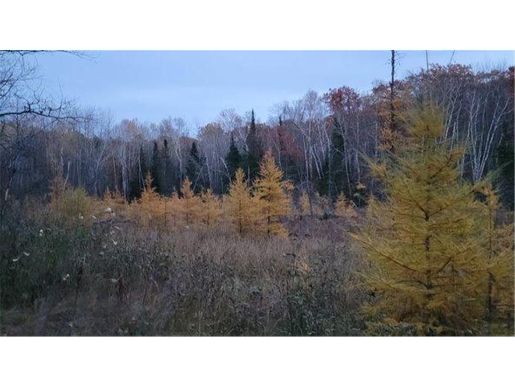 000 24th Avenue Remer MN 56672 6422496 image1