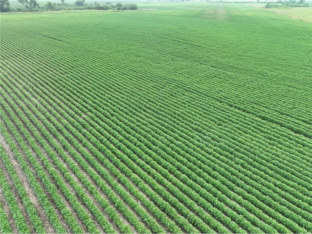 000 45th Street NE Benson MN 56215 6803994 image1