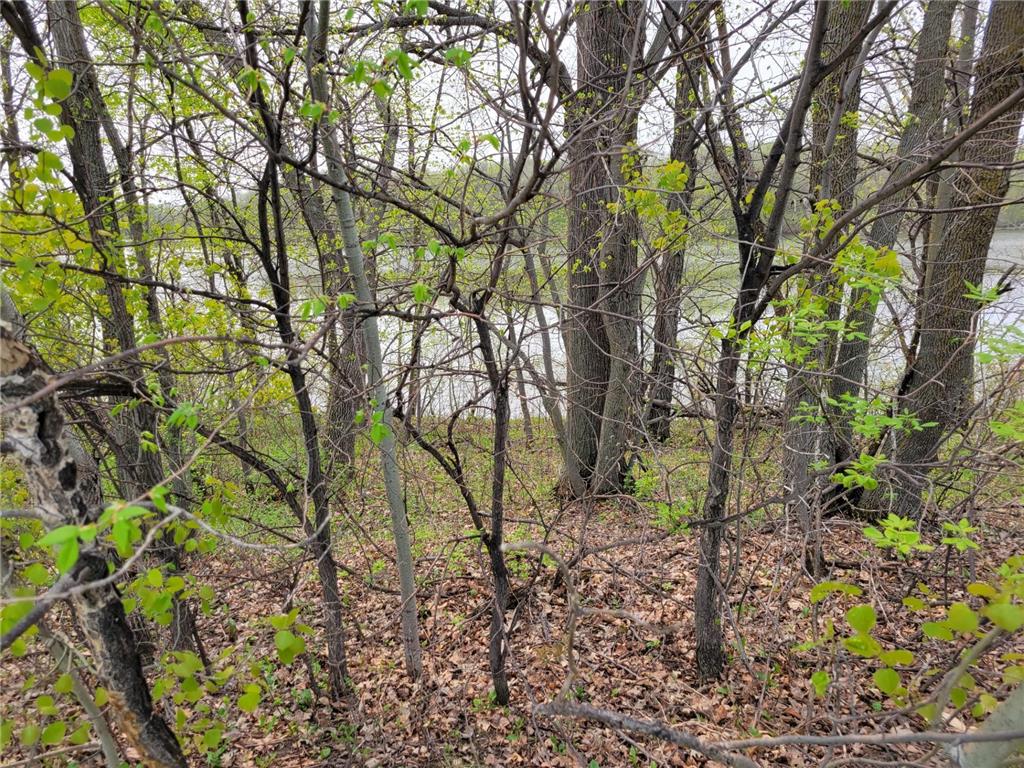 000 476th Scambler Twp MN 56572 - Pete 6370667 image1