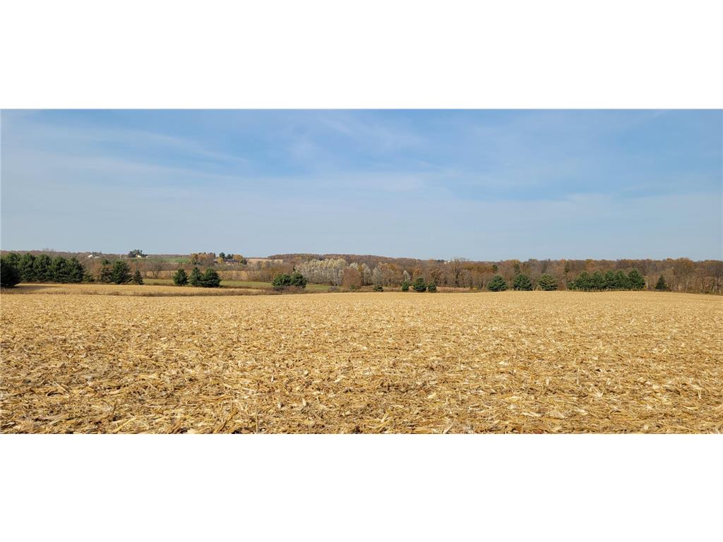 000 490th Street Beldenville WI 54003 6575448 image1