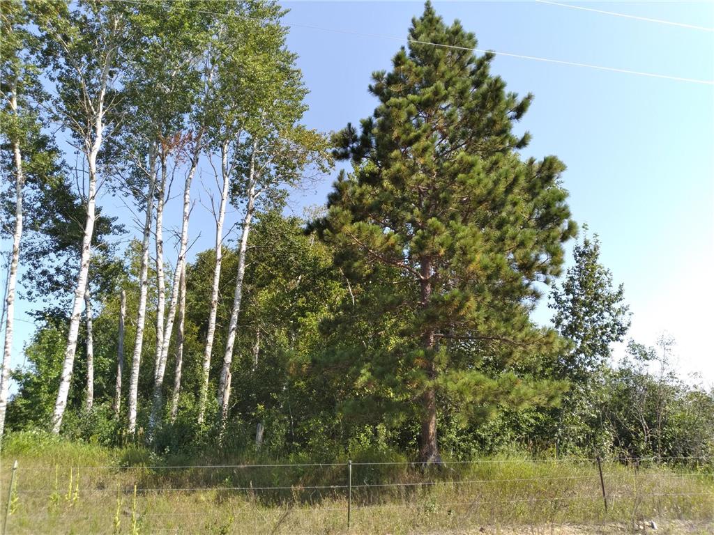 000 65th Avenue SW Motley MN 56466 6404124 image1