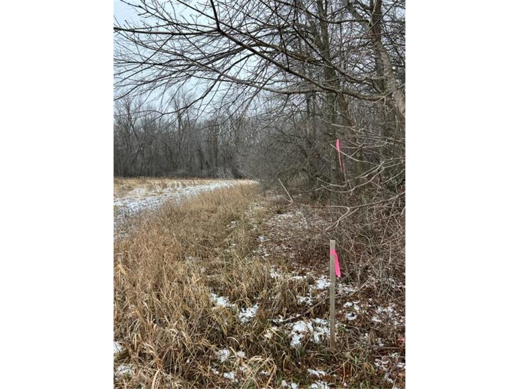 000 65th St Block 1 Lot 1 Princeton Twp MN 55371 - Rum River - West Branch 6481446 image1