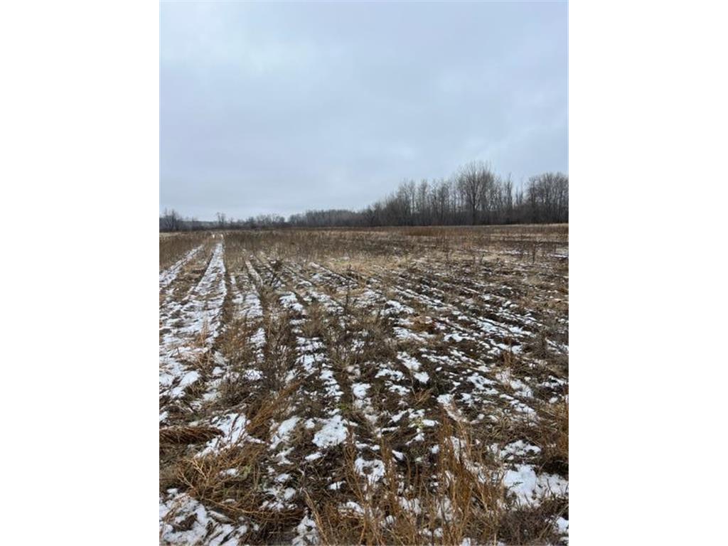000 65th St Block 1 Lot 2, Princeton Twp, MN, 55371 MLS 6481501