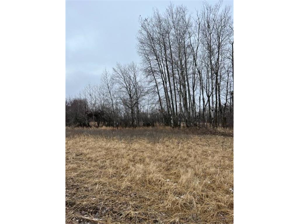 000 65th St Block 1 Lot 2, Princeton Twp, MN, 55371 MLS 7779900