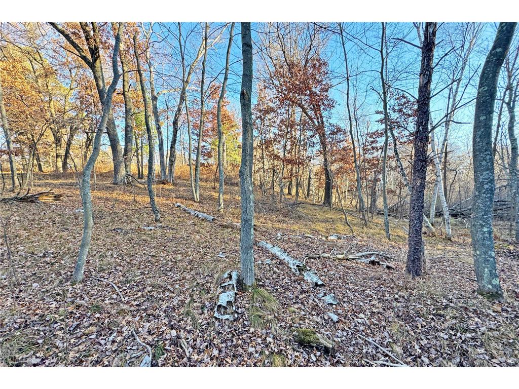 000 Beaver Dam Road Brainerd MN 56401 6820473 image10