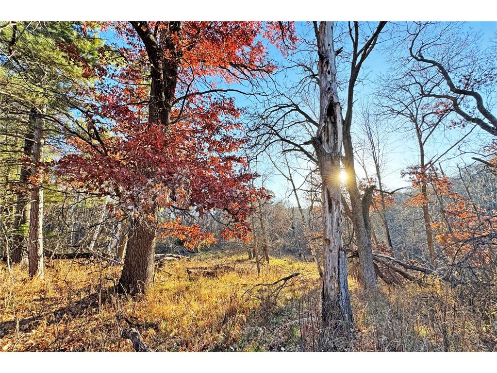 000 Beaver Dam Road Brainerd MN 56401 6820473 image11