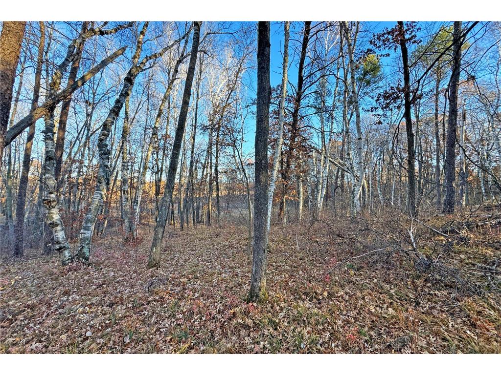 000 Beaver Dam Road Brainerd MN 56401 6820473 image13