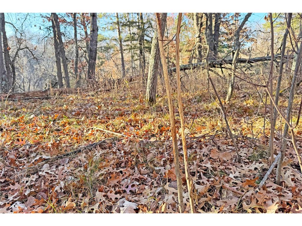 000 Beaver Dam Road Brainerd MN 56401 6820473 image14