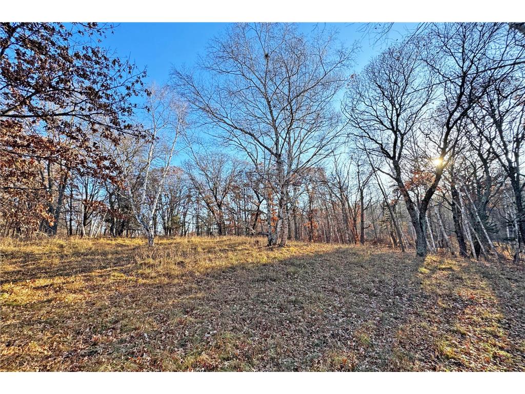 000 Beaver Dam Road Brainerd MN 56401 6820473 image15