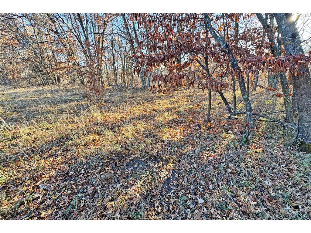 000 Beaver Dam Road Brainerd MN 56401 6820473 image16