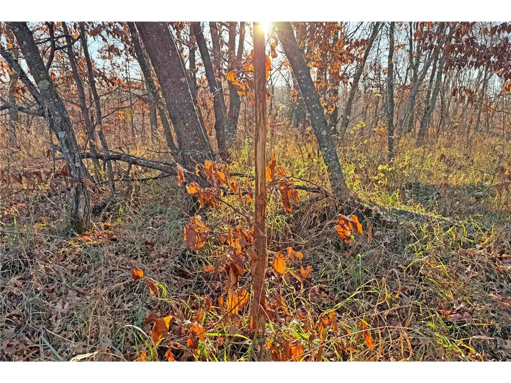 000 Beaver Dam Road Brainerd MN 56401 6820473 image17