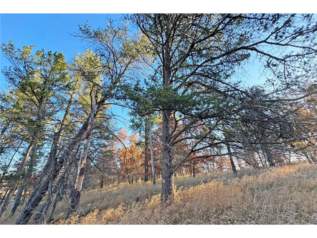 000 Beaver Dam Road Brainerd MN 56401 6820473 image19