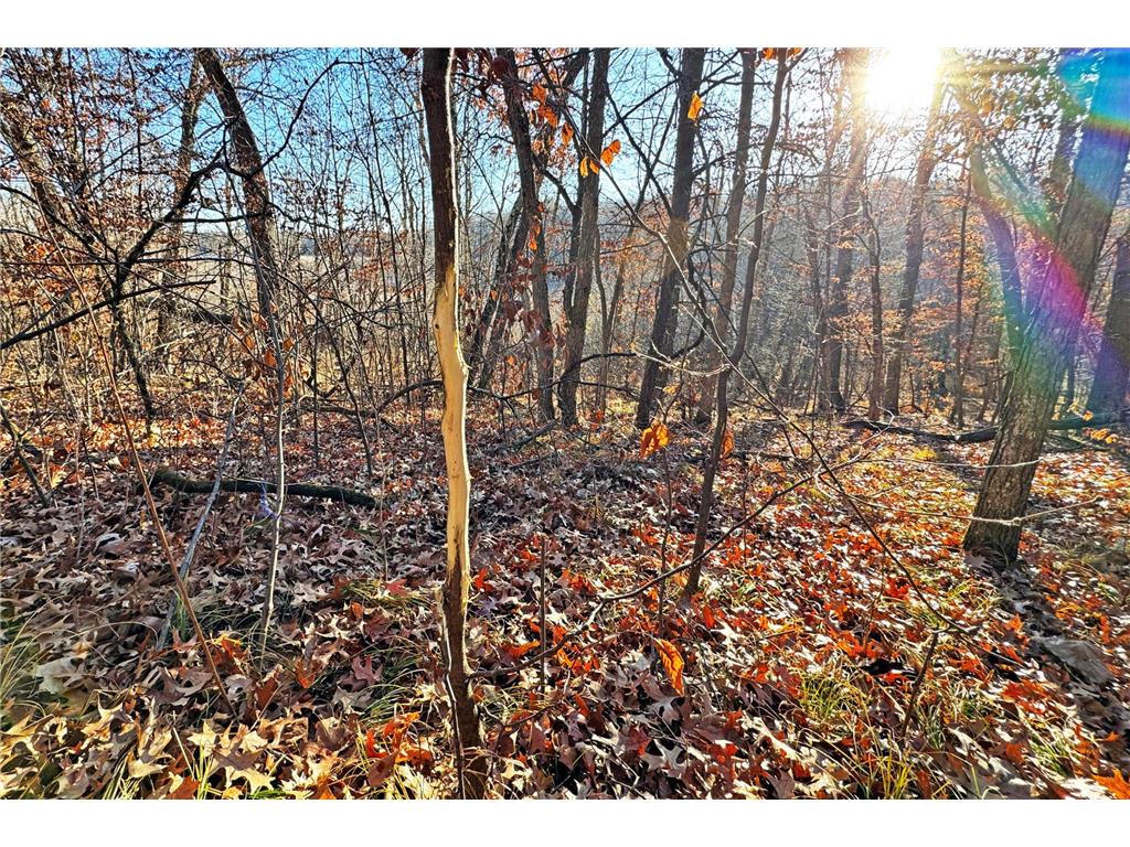 000 Beaver Dam Road Brainerd MN 56401 6820473 image20