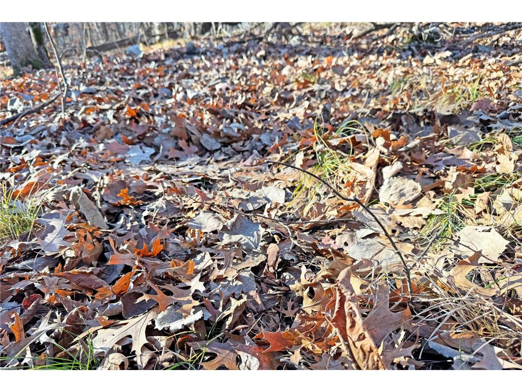 000 Beaver Dam Road Brainerd MN 56401 6820473 image21