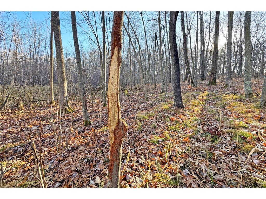 000 Beaver Dam Road Brainerd MN 56401 6820473 image22