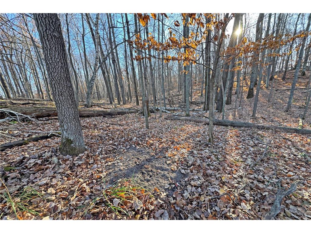 000 Beaver Dam Road Brainerd MN 56401 6820473 image24