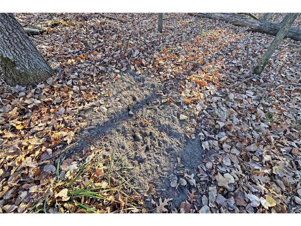 000 Beaver Dam Road Brainerd MN 56401 6820473 image25