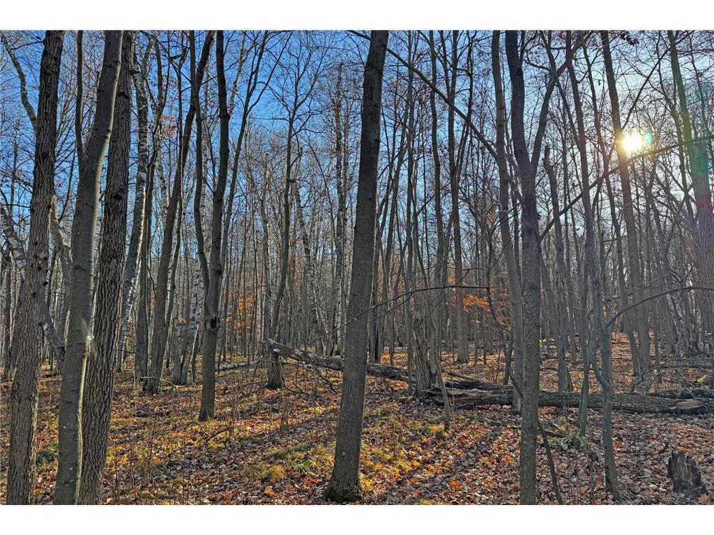 000 Beaver Dam Road Brainerd MN 56401 6820473 image26