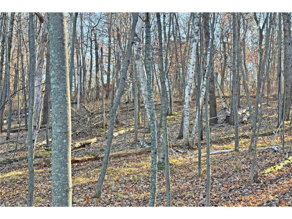 000 Beaver Dam Road Brainerd MN 56401 6820473 image27