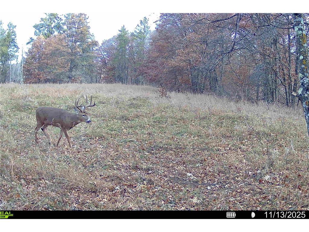 000 Beaver Dam Road Brainerd MN 56401 6820473 image30