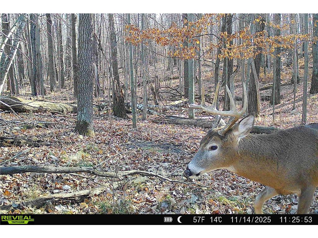 000 Beaver Dam Road Brainerd MN 56401 6820473 image31