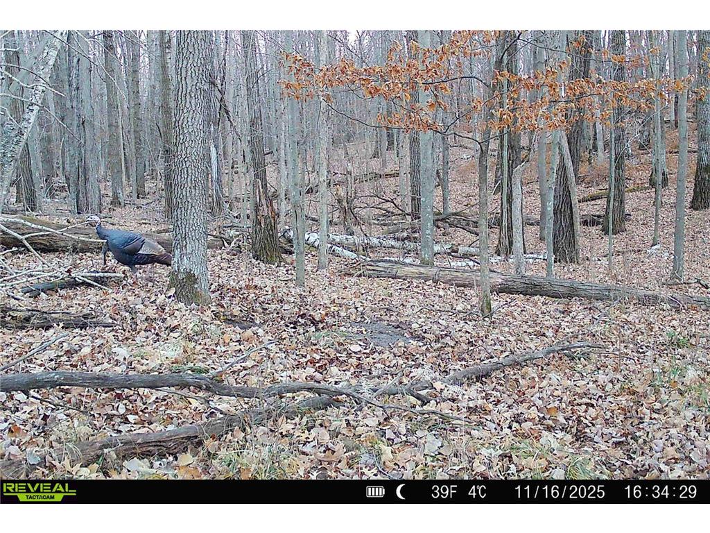 000 Beaver Dam Road Brainerd MN 56401 6820473 image32