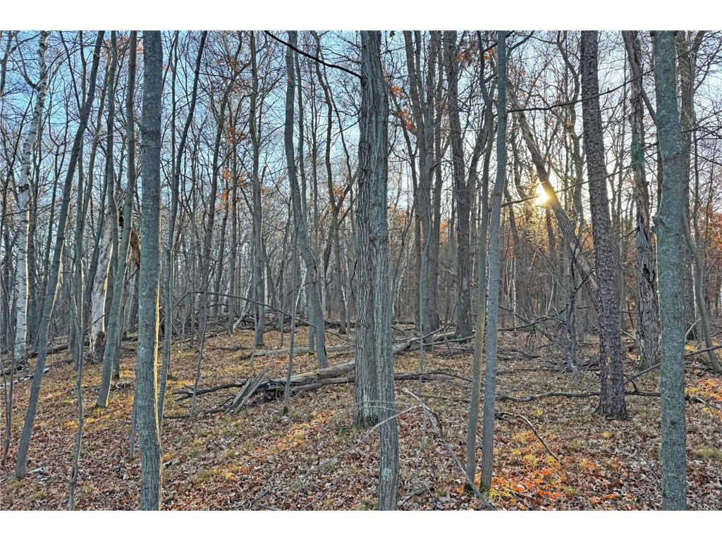 000 Beaver Dam Road Brainerd MN 56401 6820473 image34