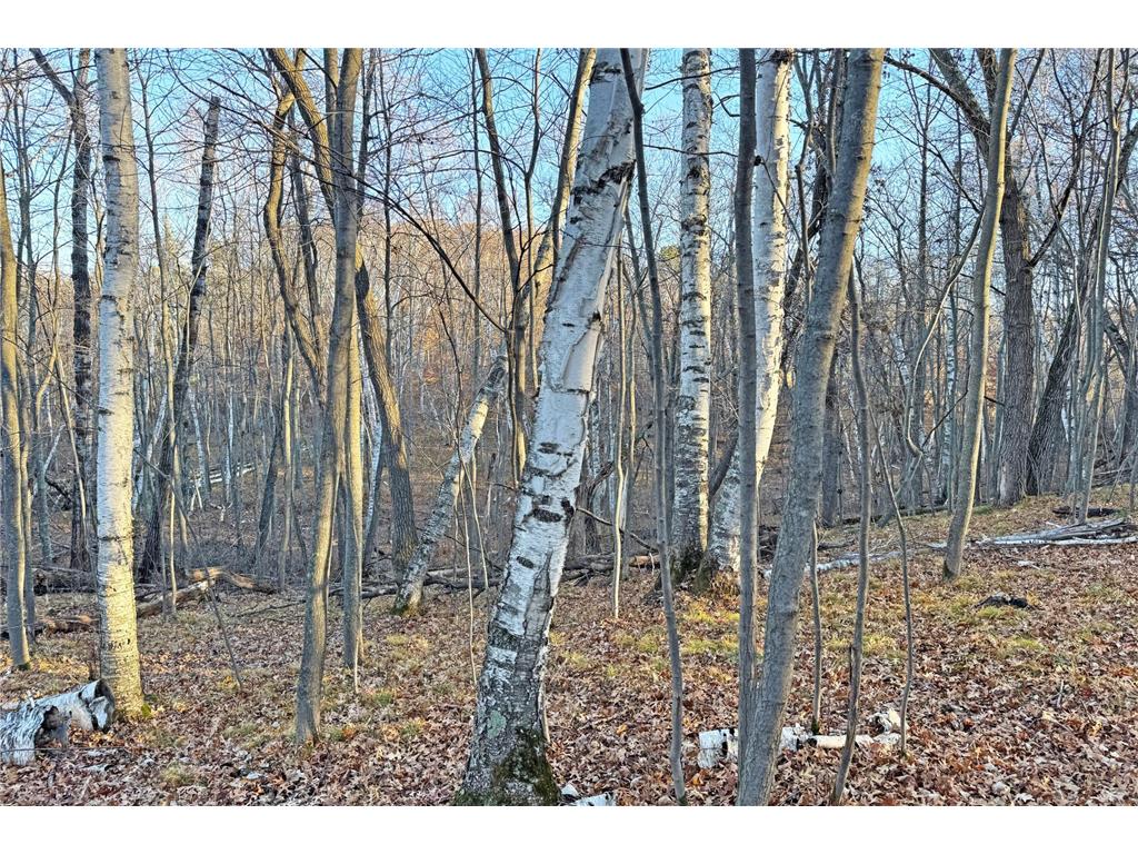 000 Beaver Dam Road Brainerd MN 56401 6820473 image36