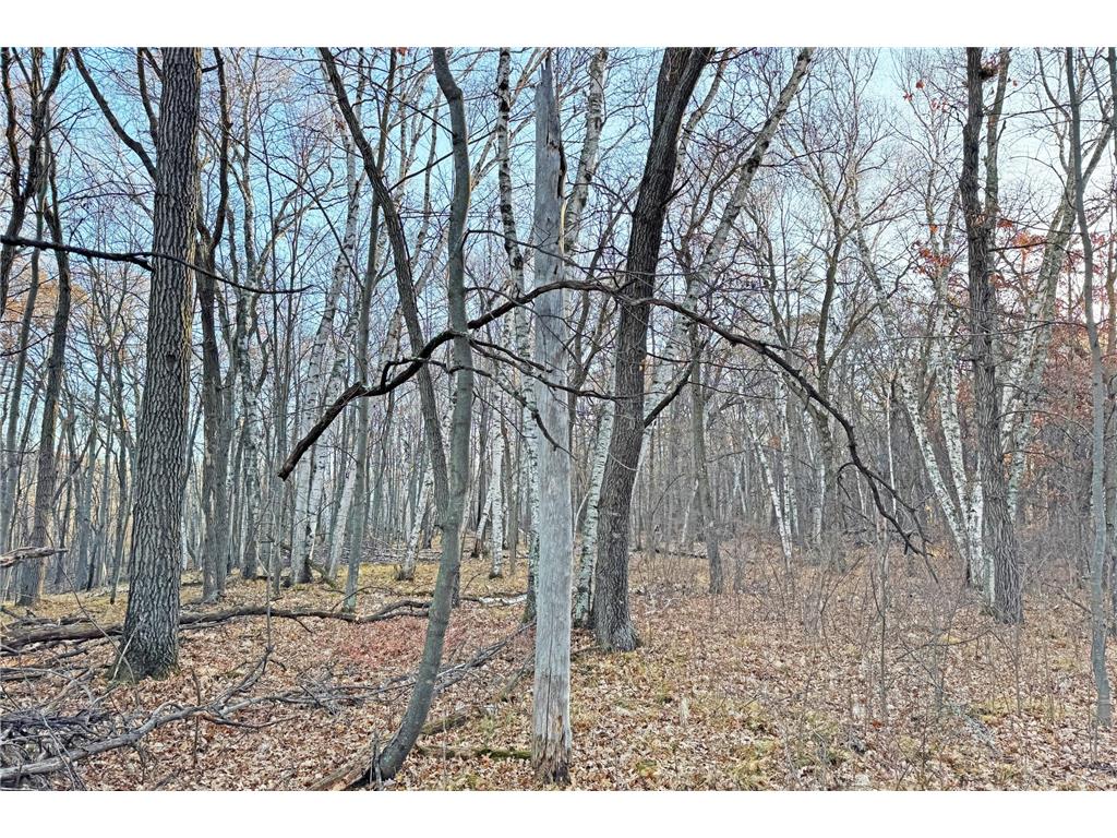 000 Beaver Dam Road Brainerd MN 56401 6820473 image37