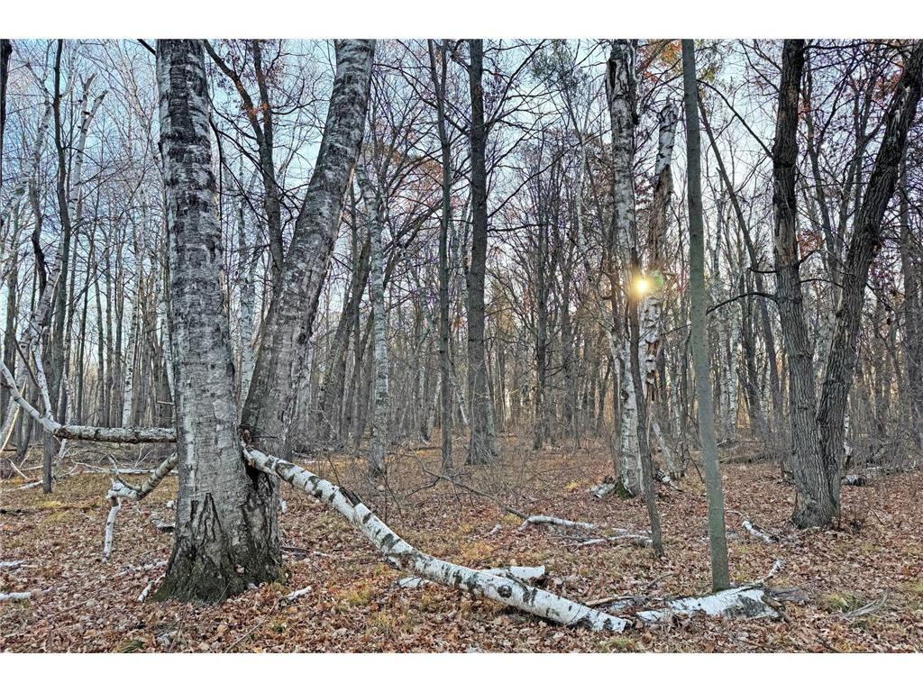 000 Beaver Dam Road Brainerd MN 56401 6820473 image38