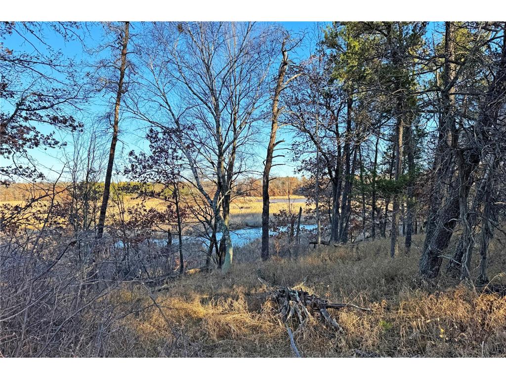 000 Beaver Dam Road Brainerd MN 56401 6820473 image39