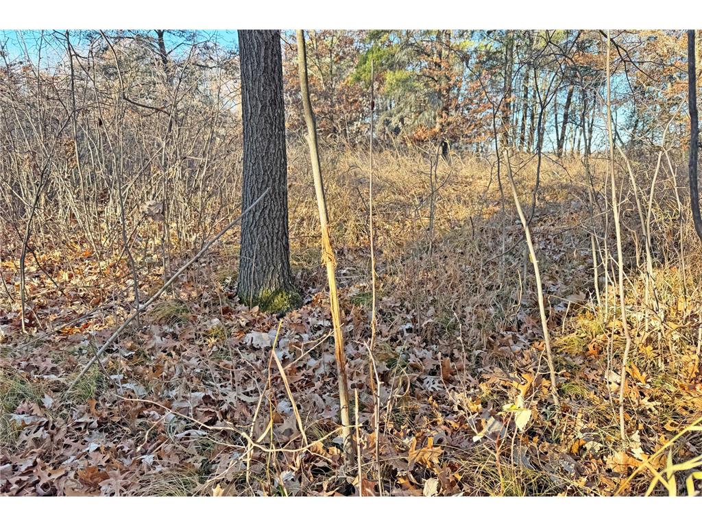 000 Beaver Dam Road Brainerd MN 56401 6820473 image40