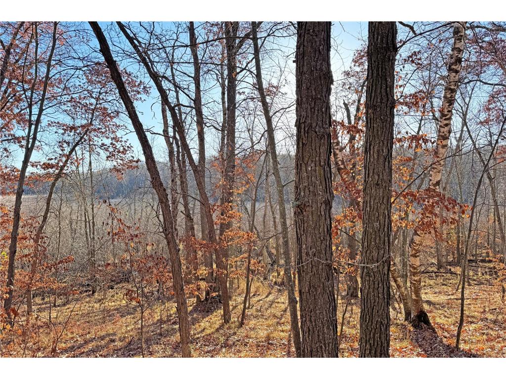 000 Beaver Dam Road Brainerd MN 56401 6820473 image41