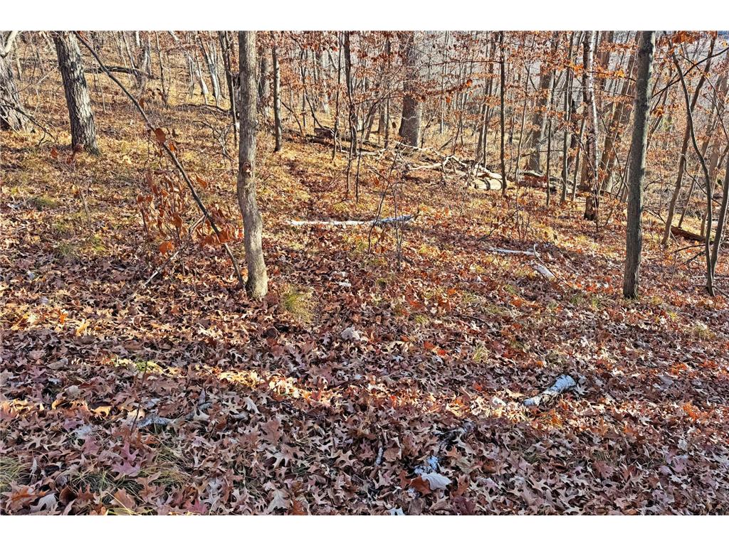 000 Beaver Dam Road Brainerd MN 56401 6820473 image42