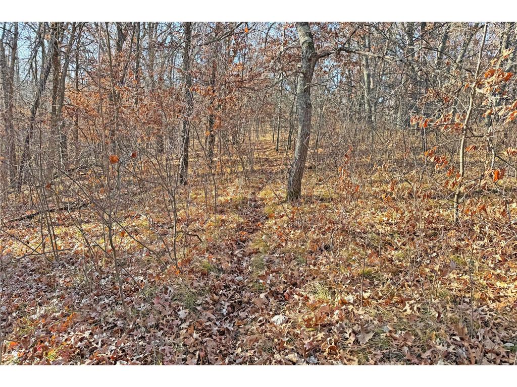 000 Beaver Dam Road Brainerd MN 56401 6820473 image43