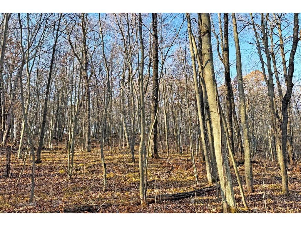 000 Beaver Dam Road Brainerd MN 56401 6820473 image44