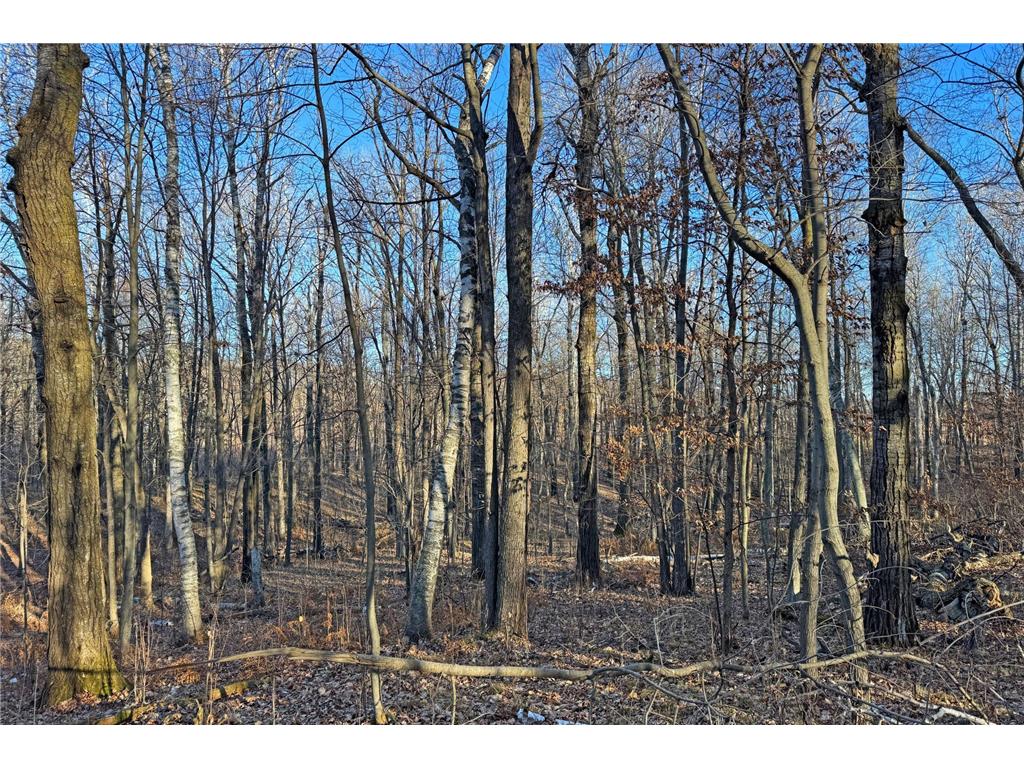 000 Beaver Dam Road Brainerd MN 56401 6820473 image45