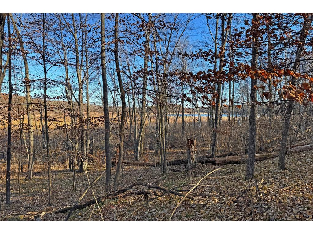 000 Beaver Dam Road Brainerd MN 56401 6820473 image46