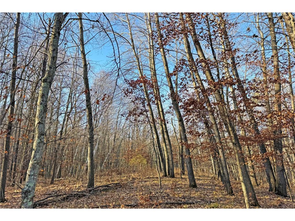 000 Beaver Dam Road Brainerd MN 56401 6820473 image47