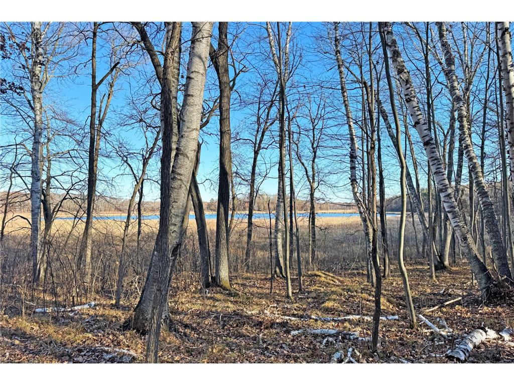 000 Beaver Dam Road Brainerd MN 56401 6820473 image48